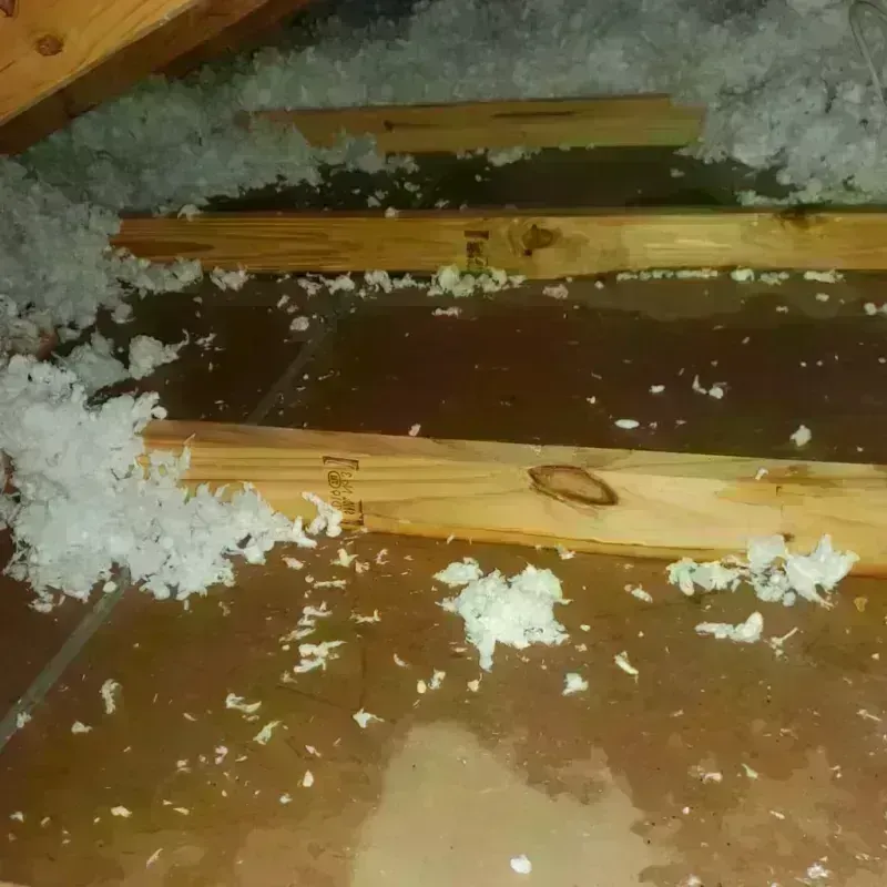 Attic Water Damage in Orange County, IN