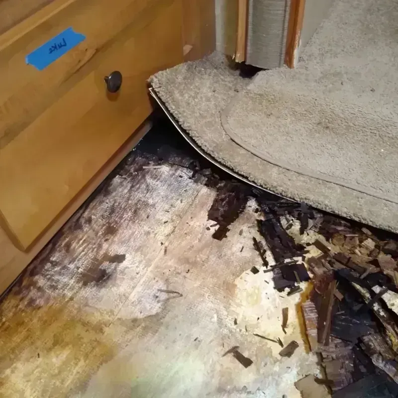 Wood Floor Water Damage in Orange County, IN